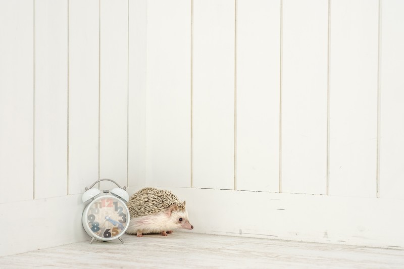 一人が寂しくて不安なときはどうしたらいい 対処法と考え方 わくわく情報 Com